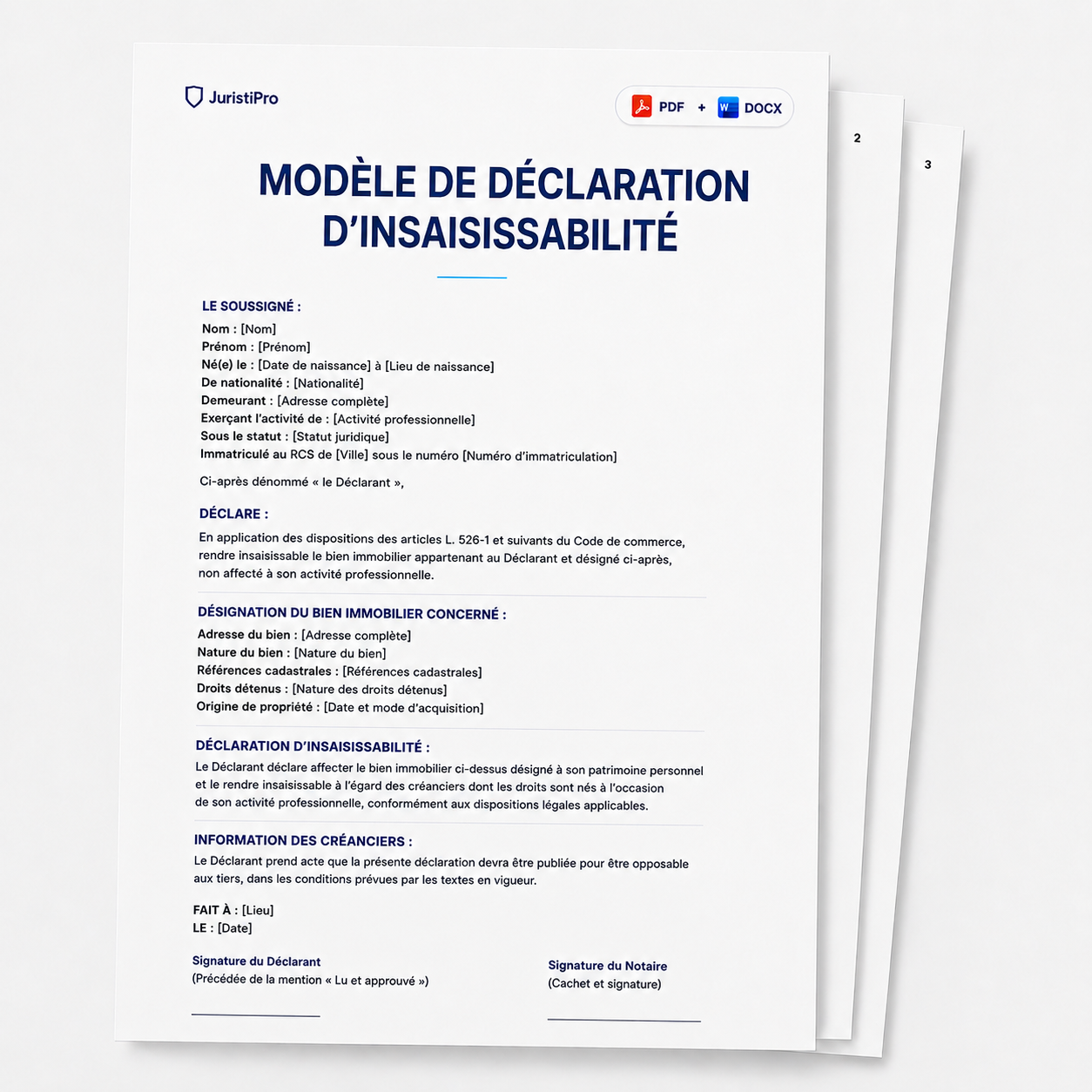 Aperçu du modèle Déclaration d'insaisissabilité